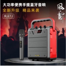维尔晶（W-King） T2无线蓝牙音箱迷你手提便携式户外大音量广场舞音响家用K歌低音炮带麦克风 T2 红色 20W 带一支麦克风